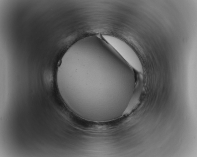 X0000091580260200709171121