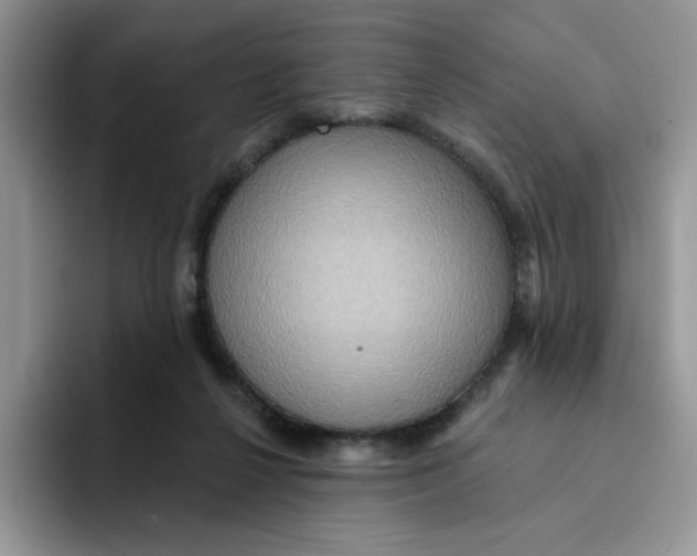 X0000091580264200709171121