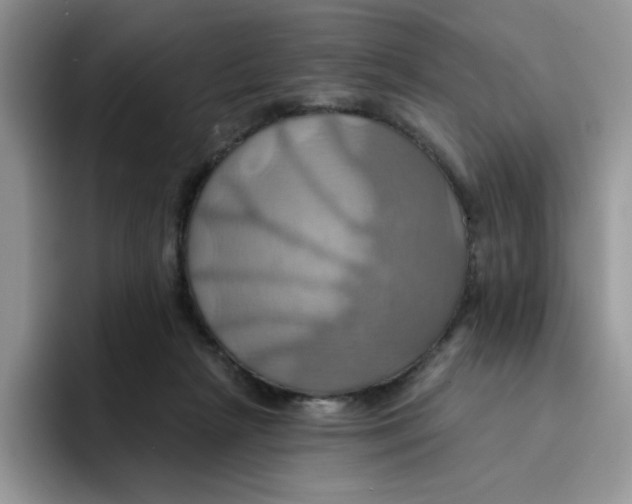 X0000091580265200709171121