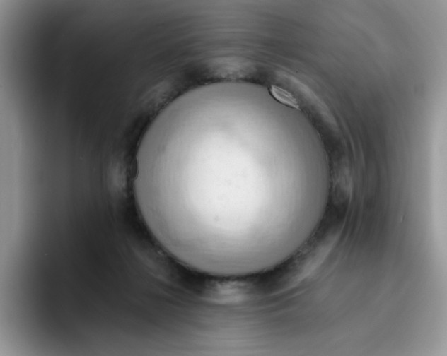X0000091580268200709171121