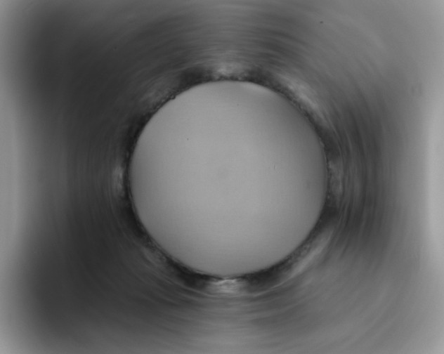 X0000091580269200709171121