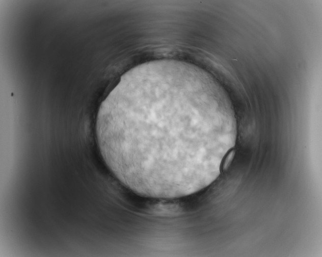 X0000091580270200709171121