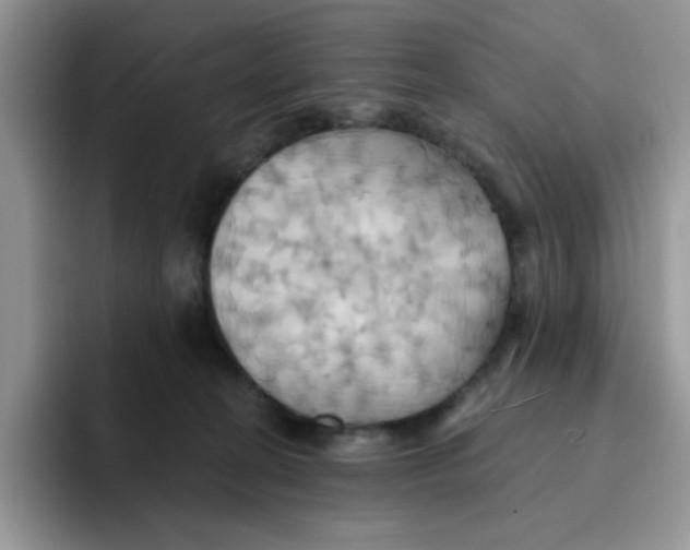 X0000091580274200709171121