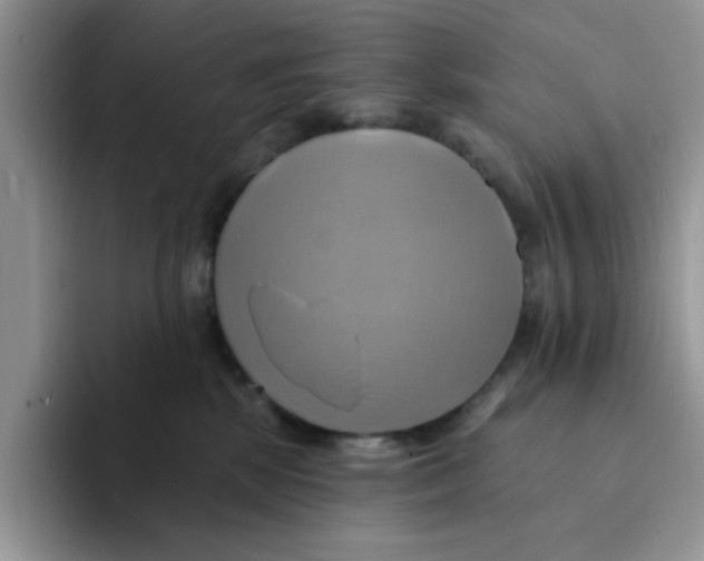 X0000091580281200709171121