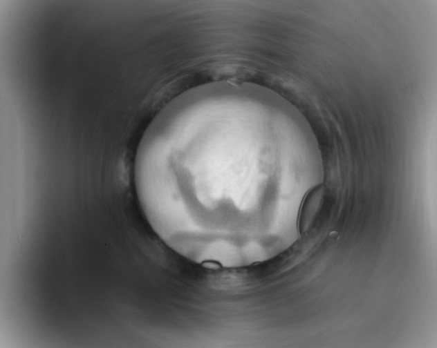 X0000091580282200709171121