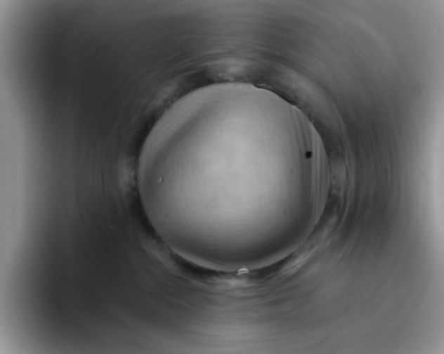 X0000091580284200709171121