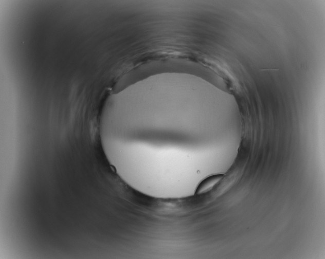 X0000091580285200709171121