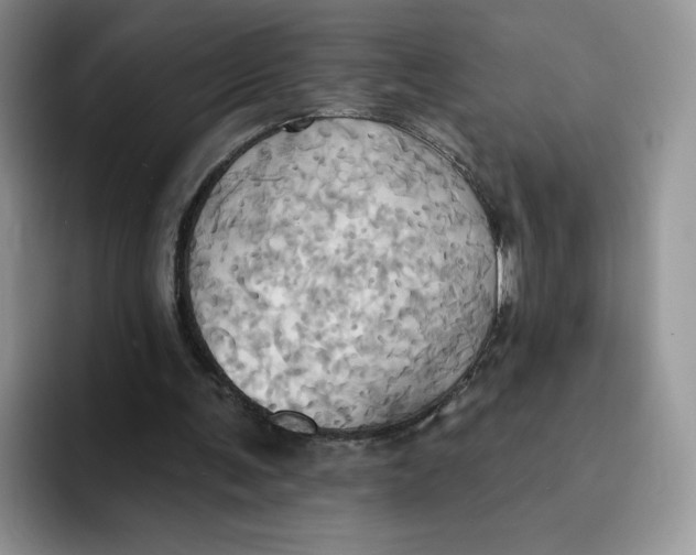 X0000091580291200709171121