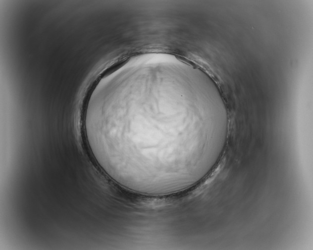 X0000091580293200709171121