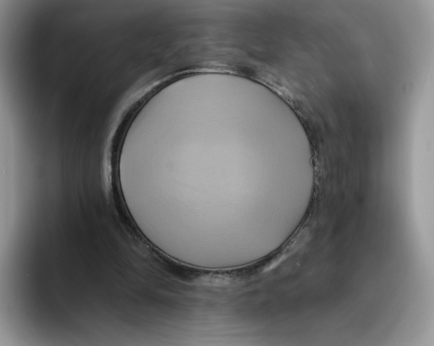 X0000091580294200709171121
