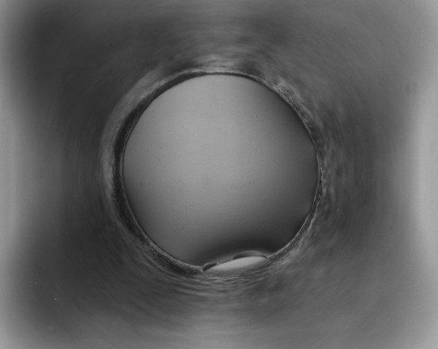 X0000091580295200709171121