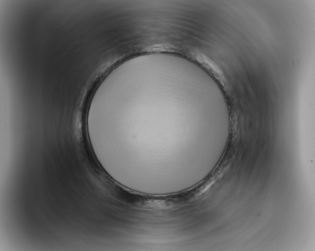 X0000091580298200709171121