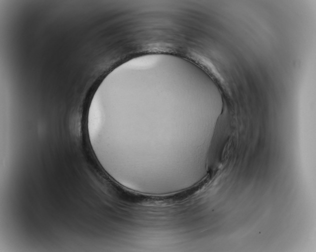 X0000091580299200709171121