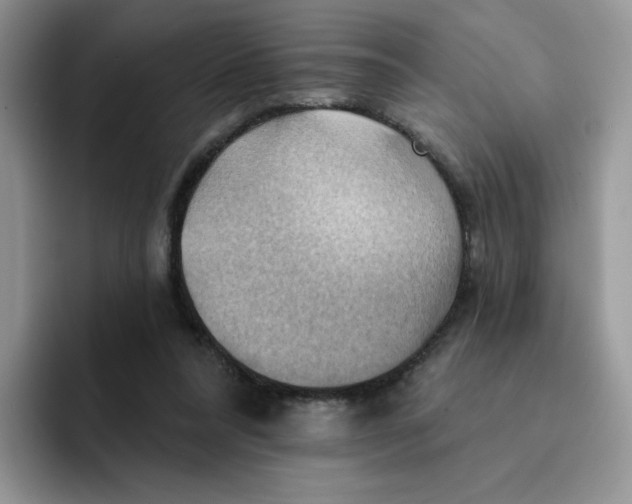 X0000091580304200709171121