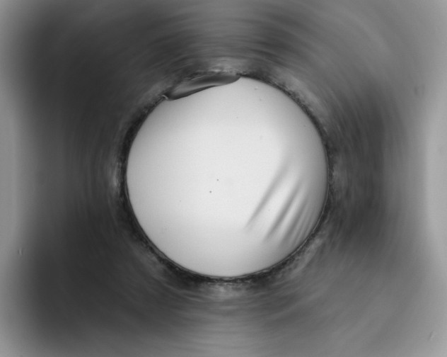 X0000091580305200709171121