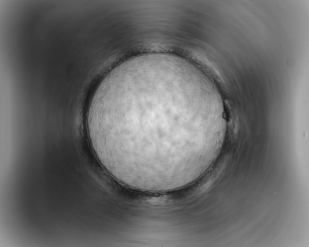 X0000091580306200709171121