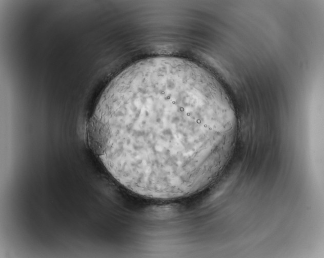 X0000091580307200709171121