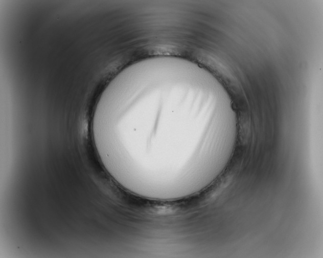 X0000091580310200709171121