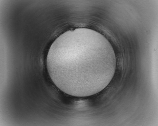 X0000091580312200709171121