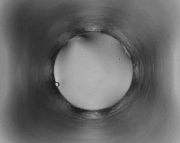 X0000091580322200709171120