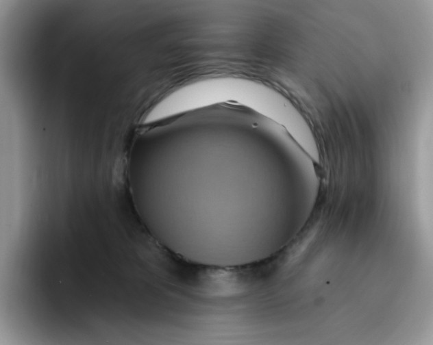 X0000091580325200709171120