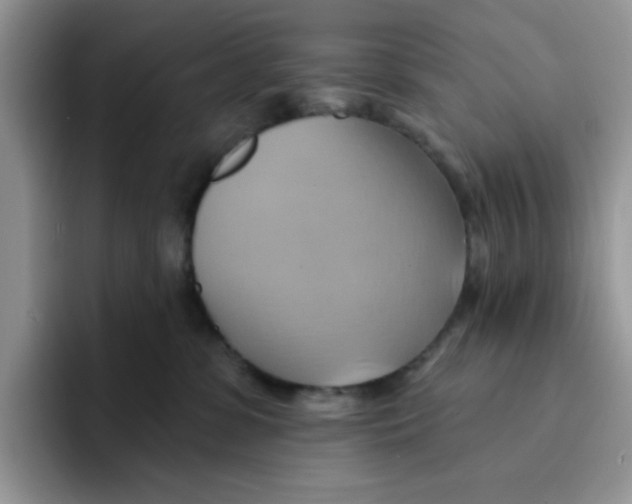 X0000091580331200709171120