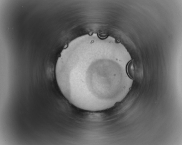 X0000091580332200709171120