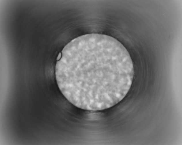 X0000091580336200709171120