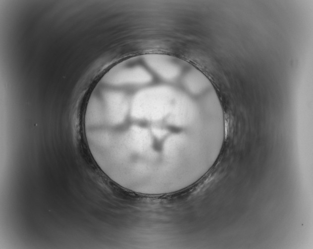 X0000091580339200709171120