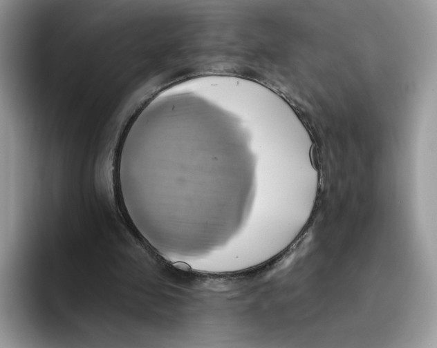 X0000091580341200709171120