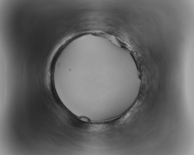 X0000091580342200709171120