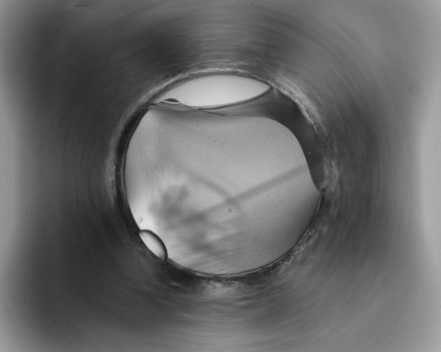X0000091580346200709171120