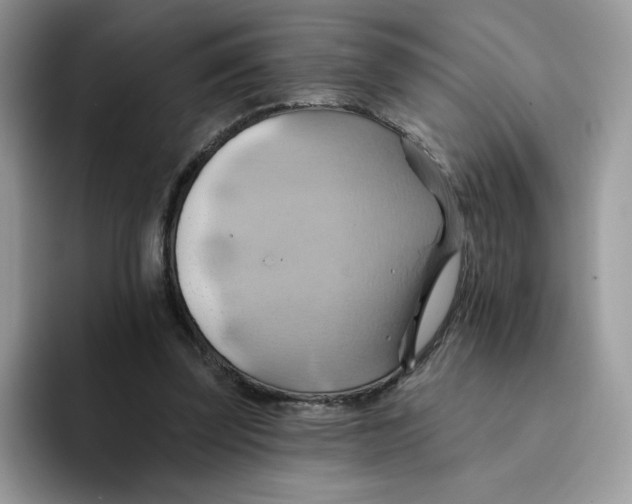 X0000091580347200709171120