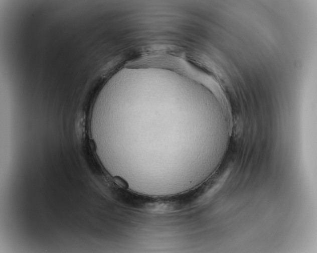 X0000091580356200709171120