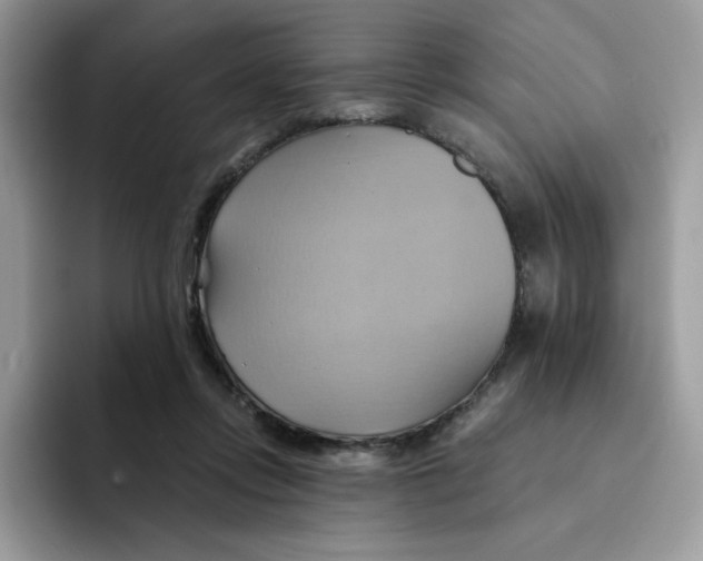 X0000091580358200709171120