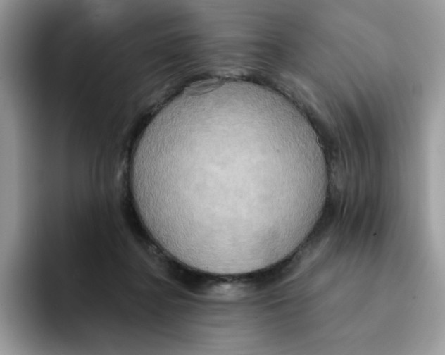 X0000091580364200709171120