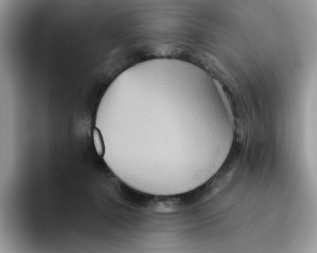 X0000091580368200709171120