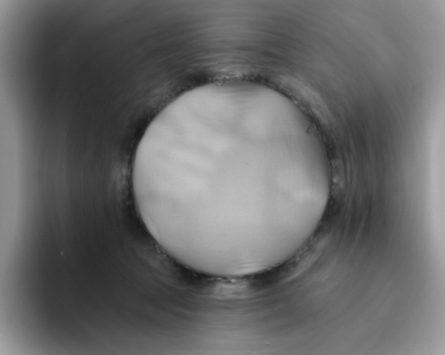 X0000091580369200709171120