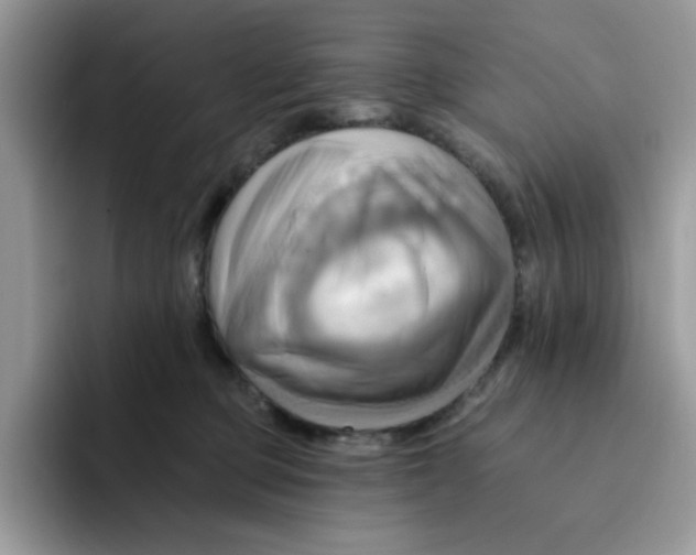 X0000091580373200709171120
