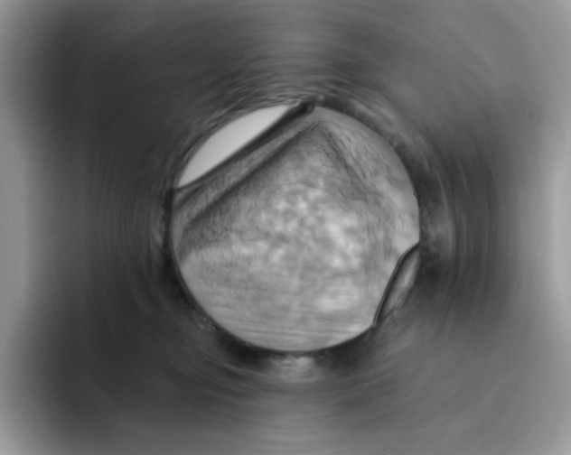 X0000091580374200709171120