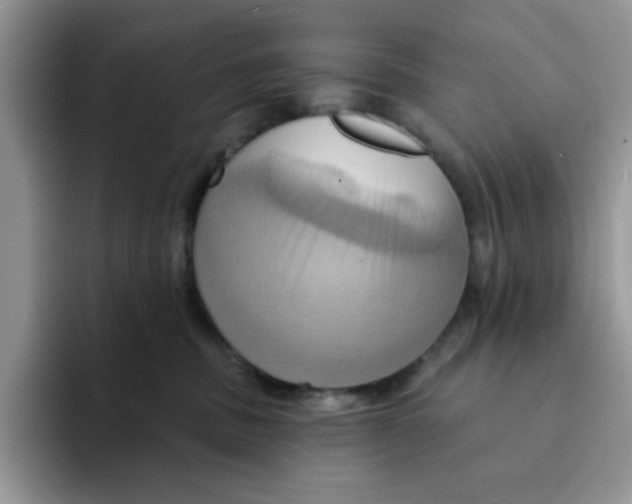 X0000091580379200709171120
