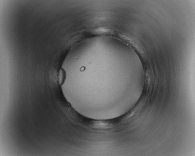 X0000091580380200709171120