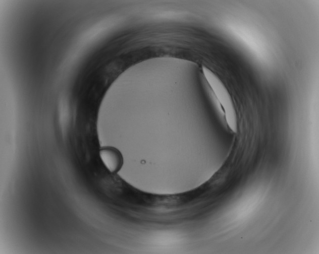 X0000091580382200709171120