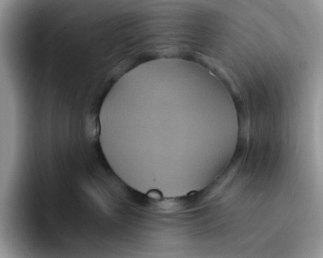 X0000091580383200709171120
