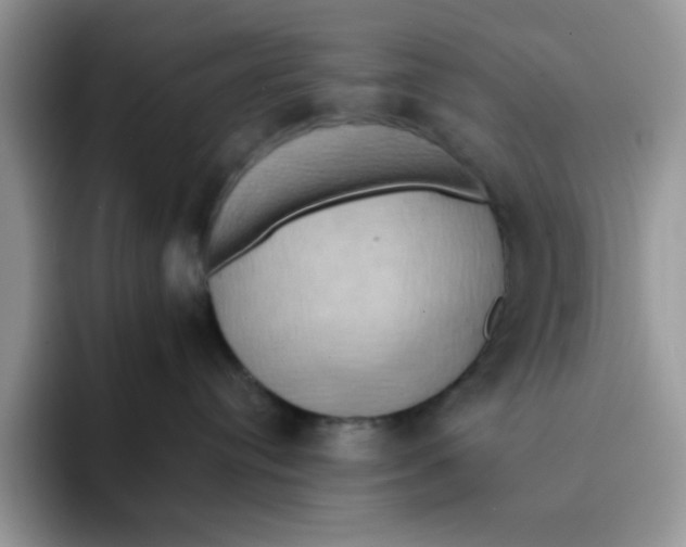X0000091580384200709171120