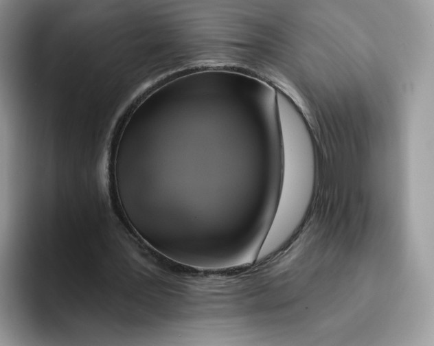 X0000091580387200709171120