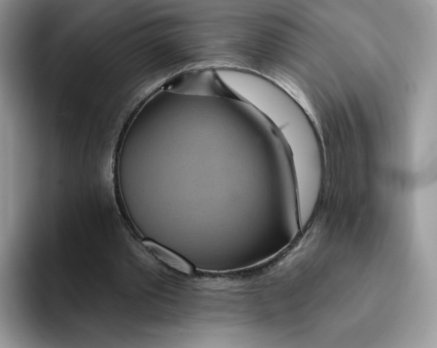 X0000091580389200709171119