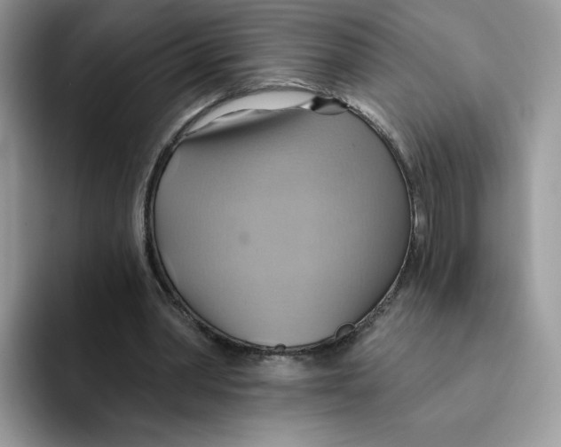 X0000091580390200709171119