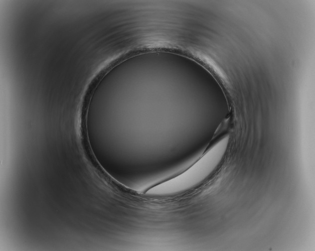 X0000091580391200709171119