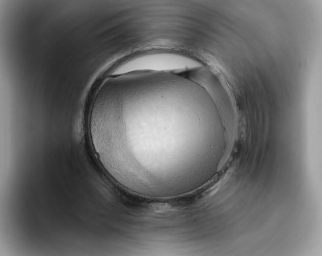 X0000091580392200709171119